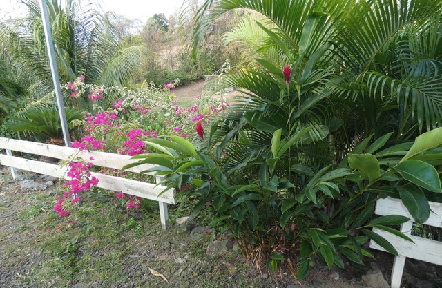 HEATED SALT POOL FOR RELAXATION