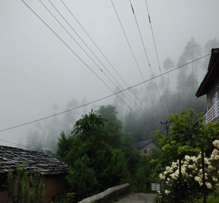 Hidden Haven Homestay