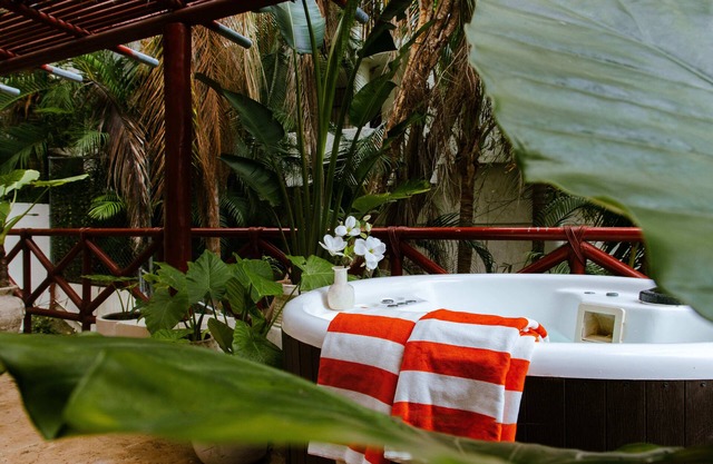 HiddenJungle private Jacuzzi & views/Daily Clean