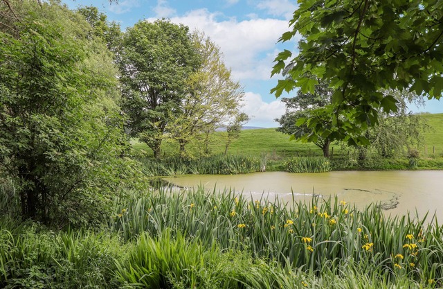 High Rigg Shepherd's Sunrise