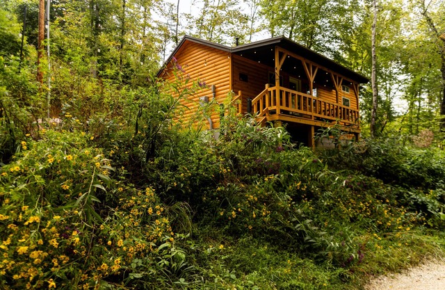 Hill Haven RRG/Small & Secluded Cabin/Hot Tub