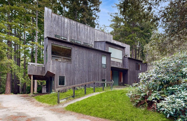Hillside tree house in redwoods with ocean views & pool access - dog-friendly