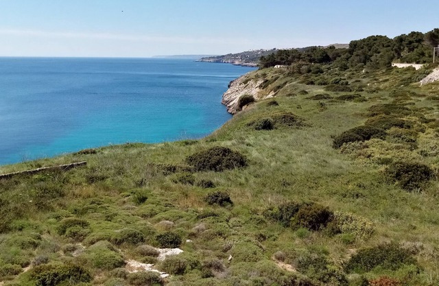 Historic farmhouse in Salento, the Giuggiola room