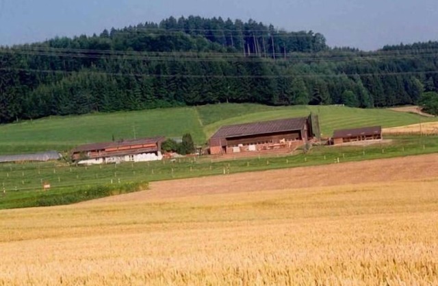 "Hof Eggweid" flat with a view of the mountains