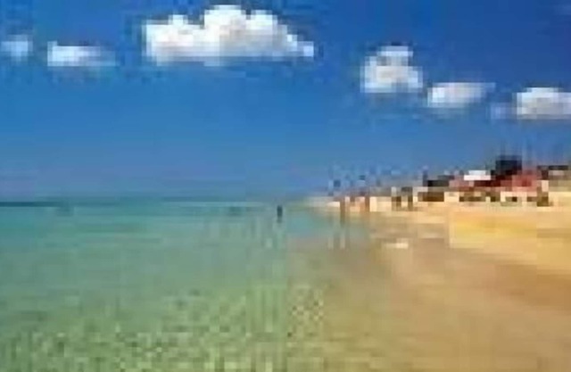 Holiday apartment Marina di Pescoluse for 1 - 4 persons with 2 bedrooms - Holiday house