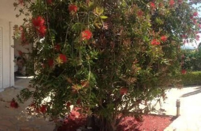 Holiday apartment Eretria Evia for 1 - 3 persons with 1 bedroom - Holiday apartment