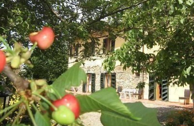 Holiday apartment Santa Luce for 1 - 3 persons with 1 bedroom - Farmhouse