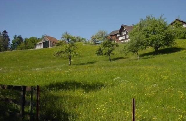 Holiday cottage "Hüsli"