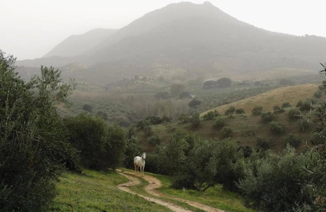 Holiday Home in Villanueva near El Terril Peak
