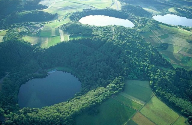 Holiday house Daun (Stadt) for 6 - 14 persons with 5 bedrooms - Holiday home