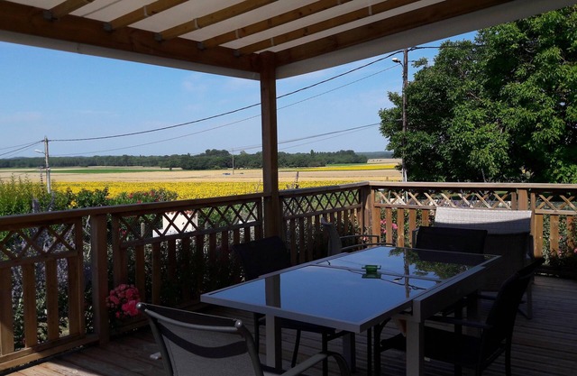 Holiday house near La Palmyre in quiet area -View on the countryside-