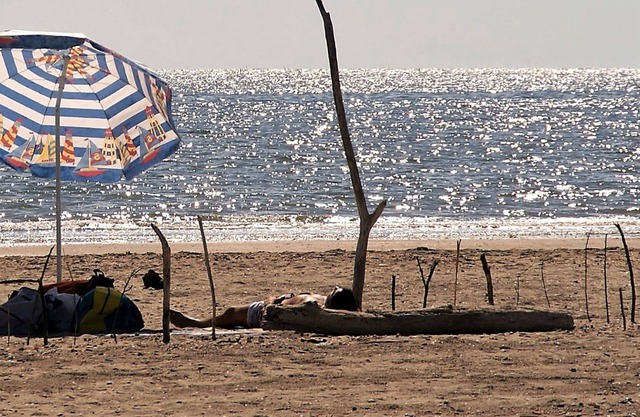 Holiday park Classe - Chalet 4 (2805)