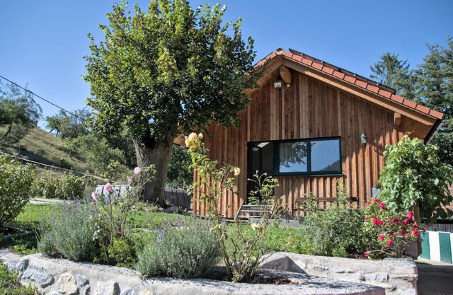 Holzhäuschen mit Pool