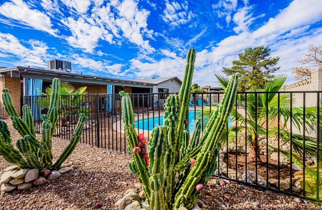 Home away from Home in Eastern Tucson Arizona, pool, spa, private yard