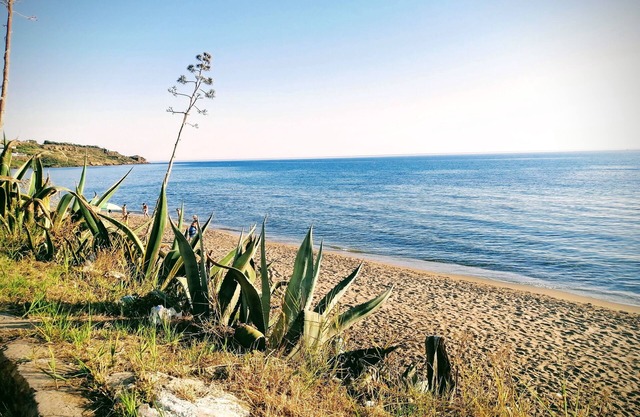 Home easy sister mare