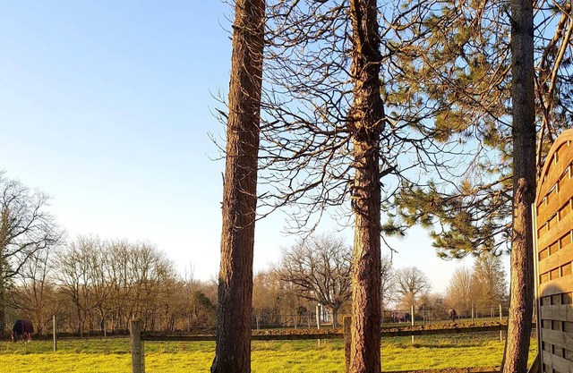 Homerez - Amazing house for 4 ppl. with terrace at La Roche-Posay