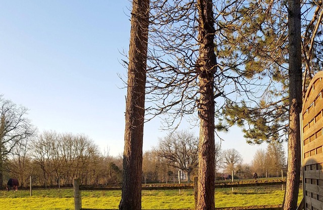Homerez - Amazing house for 4 ppl. with terrace at La Roche-Posay