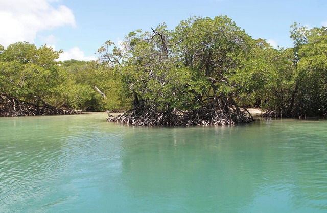 Homerez - Flat in Saint-Esprit