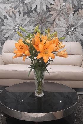 Homestay-kim mã -giang văn minh