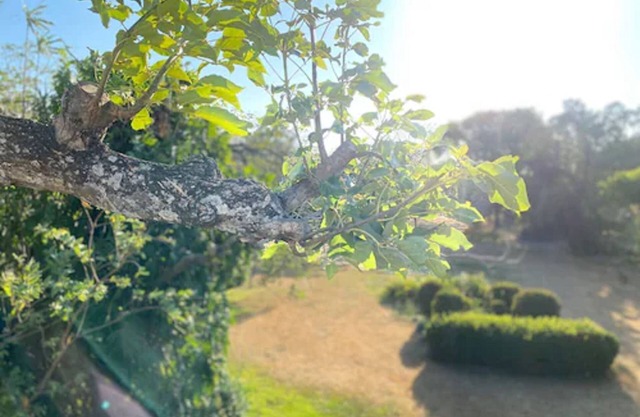 Hotel Del Aserradero