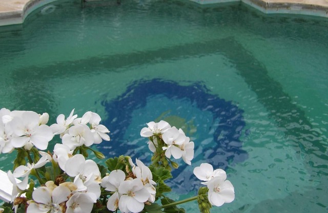 Hotel Palacio Doñana