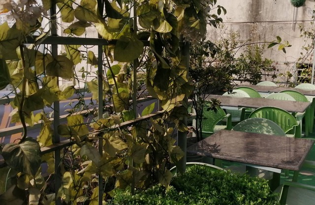 Hotel VIP Inn