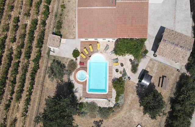 House amidst vineyards