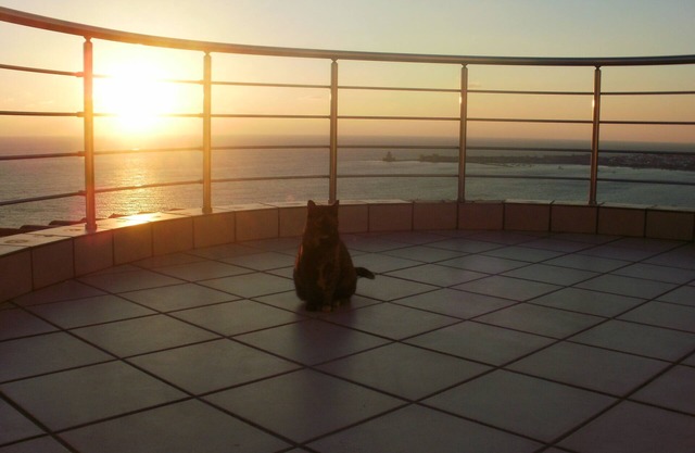house-apartments, panoramic view overlooking sea and citadel,above ground pool,