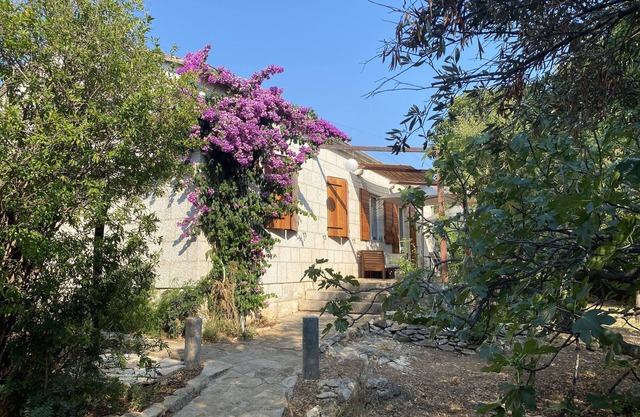 House Filipin-Green Oasis