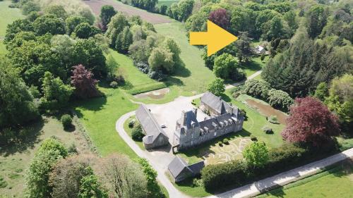 House Nestled in the Forest