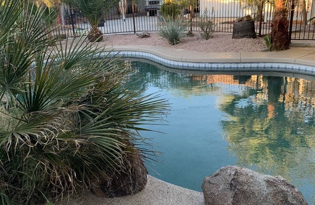 House with pool and large backyard