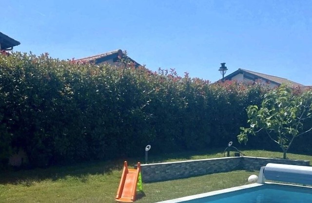 House with swimming pool and pétanque court