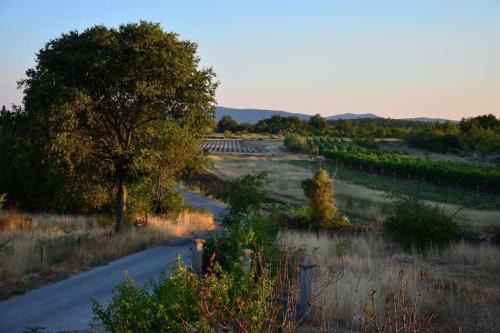 House with the ecogarden at the end of the Village