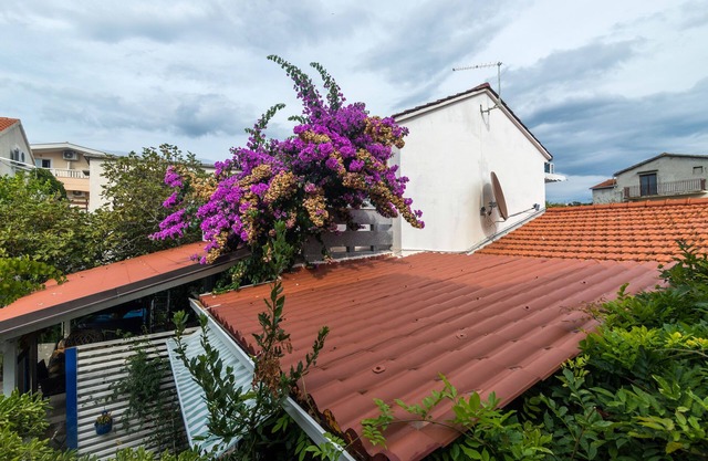 House Zeljko (10625-K1) - Sucuraj - island Hvar