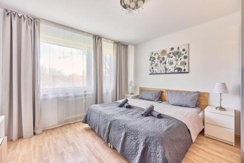 Ida, the suburban apartment nearby Cologne