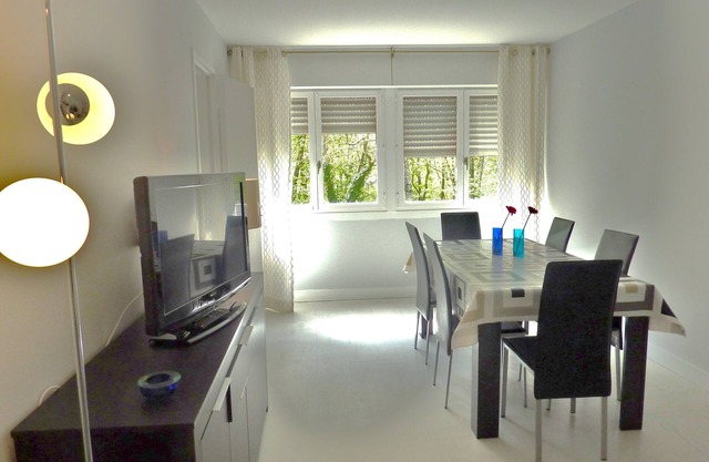 IDEAL TO VISIT THE CASTLES OF LOIRE BLOIS /AMBOISE /large apartment