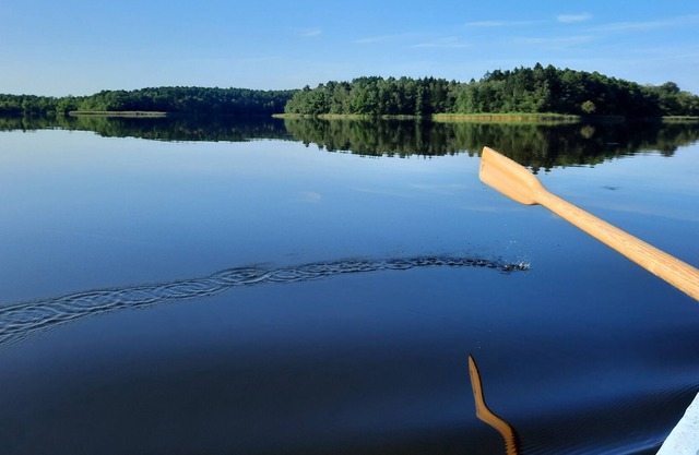Idyll at the Baalsee bungalow, sleeping barrel and rowing boat