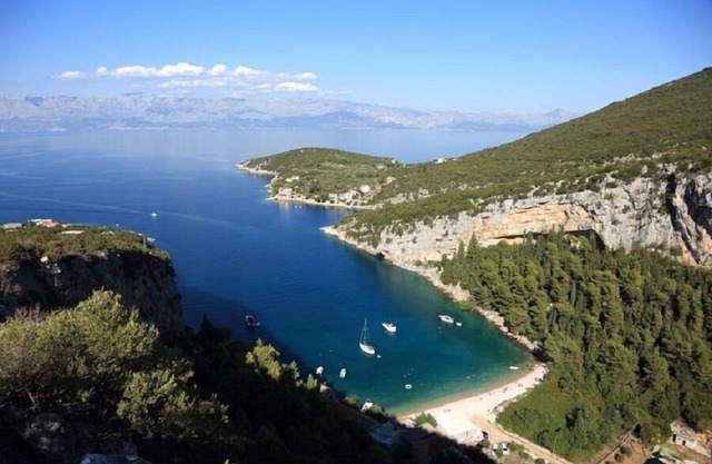 Igor - 5 m From Beach - SA4