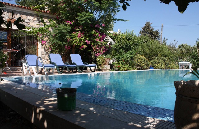 Important Group Villa Citrus