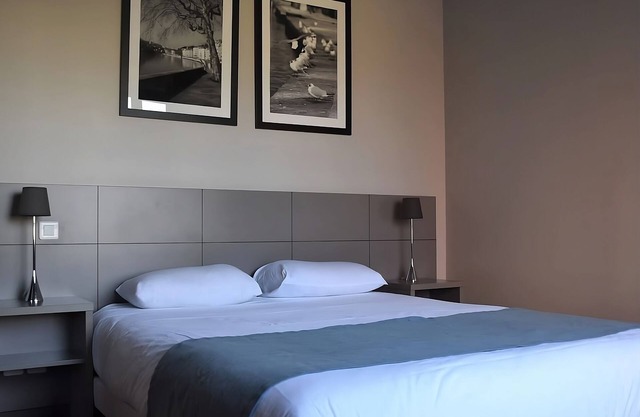 In the Heart of Lyon! Daily Breakfast, Pet-friendly Hotel near Gare de Vaise!