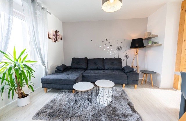 In the heart of the city, Gite l Améthyste superb 3 * Saphir apartment with terrace