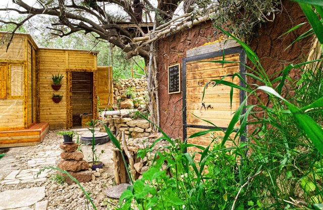 In the heart of the mountain with friendly animals playing around