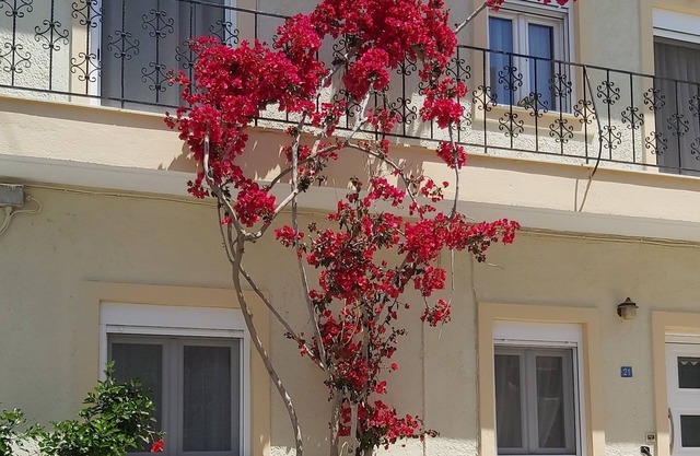 In the narrow streets of the old town, family-friendly, close to the beach