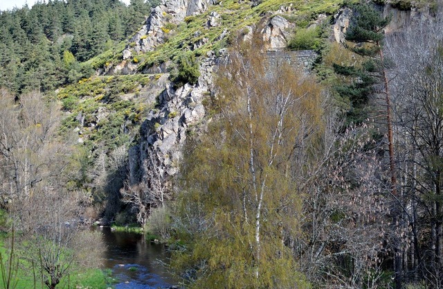 INDEPENDENT HOLIDAY HOUSE WITH WOODED LAND