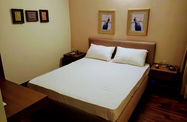 Independent Luxurious Studio apartment near Expo Mart/IT Hub