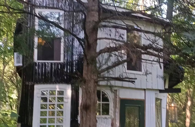 Irving's Gnome Dome Mushroom Sculpture Tiny House