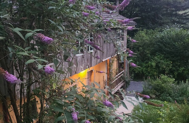 Isolated chalet in the heart of nature, forest, river.