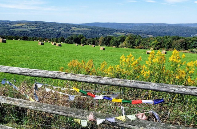 ITHACA NY- 36 Acre Retreat, Breathtaking Sunsets, Private, CU, IC, Privacy-Enjoy