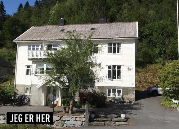 Josygaard