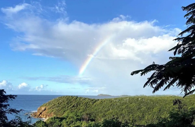 July Special - New Lower Price!